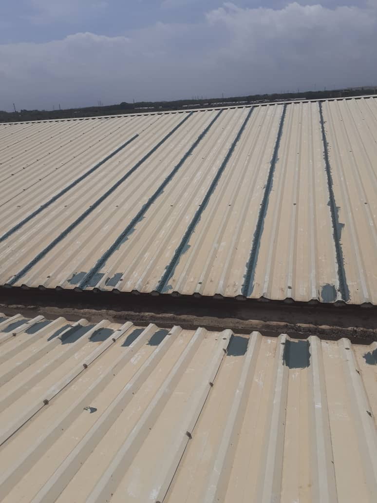 WhatsApp Image 2025-09-20 at 7.02.36 AM